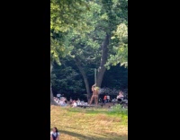 Collab WINY - Woman pole dance with bubble gun toy part 2