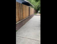 Collab Clips MPUGC2 - Dog peeks through hole on fence 