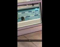 Guy Films Lady Swimming with a Mask 