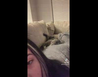 Woman farts and wakes up dog sleeping on her 