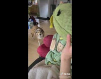 Collab BitchMP - Toy found inside of toy for dog