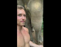 BitchMP - Shirtless guy feeds elephant banana