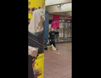Woman subway performer playing an unknown instrument