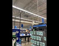 Submitter sees racoon on walmart ceiling trusses