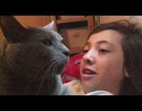 Grey cat meows everytime girl kiss it