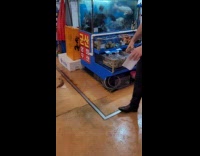 Fish jump out from the fish tank