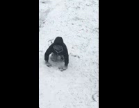 Boy jumps and lands on face snow 