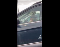 Dog in blue suv honking horn waiting for owner