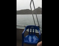 Dolphins swimming by boat jump out water 