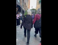 Collab WINY - Woman walks with green parrot on shoulder Part 1