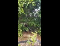 Guy rides red motorcycle up ramp fail 