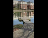 Girl walks by lake and sees duck friend