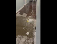 Water bursting out of the floor in hallway of apartment building 
