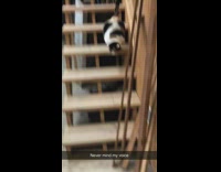 Guy meows copies cat stairs 