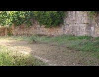 Fawn accidentally falls on canal avoiding submitter 