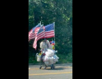 Collab WINY - Shopping cart with plastic bags and USA flags