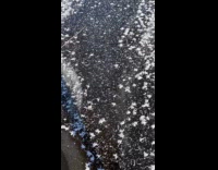 Man walks frozen creek stomps on ice