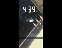 Empty beer bottles line wall pool crickets 