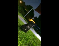 Small black dog sits down in grass outside at night next to guy 