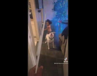 Guy pretends to hit her daughter with a hanger 