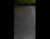 Man Gets Pecked by Duck as he Feeds it