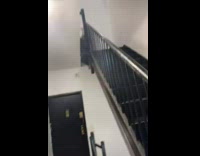 Rat hanging from indoor staircase