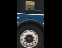 Man feeds pigeons in his car while jamming hard to bachata