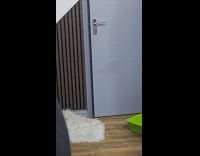 Woman calls dog cat walks out door