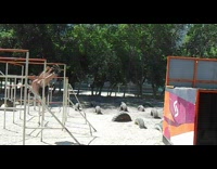 Guy front flip over green wall bars