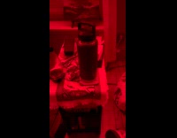 Man shows bottle change color from lights