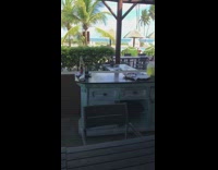 striped animals eating from plate restaurant beachside 