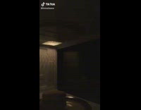 Girl puts phone in microwave to record food