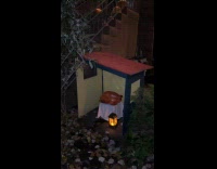 Turkey display in the manger for Thanksgiving