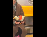 Man shows woman rides train with duck