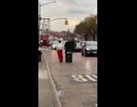 Man pushes Christmas Tree inside garbage bin part 1