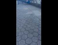 Guy on hammock reads book at waterfront 