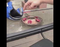 Guy feeds hummingbird bird sugar water finger 