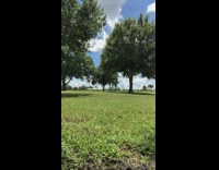 Girl in jeans and green shirt running back and forth