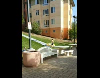 Dorm lawn turned into slip and slide