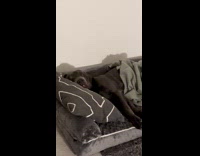 Dog chewing while sleeping 