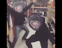 Two guys in monkey masks dance to techno music in store aisle
