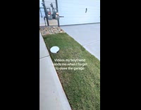 Robot vacuum reached driveway