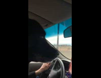 Dogs excited to go to dog park