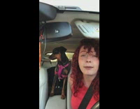 Girl dog chicken nugget taste test car 