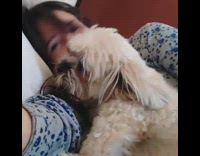 Fluffy white dog in bed with owner in blue and white pjs growling