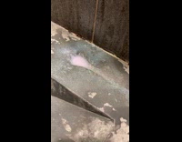 Guy shows soap dispenser erodes sink basin