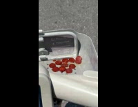 Submitter riding citibike with pepperonis on basket 