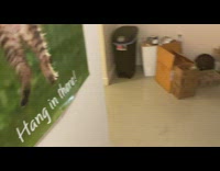 Hang in there cat poster college dorm