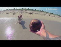 Music Two puppies playing at the beach 