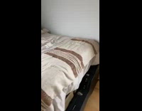 Brown dog gets stuck in string blinds 